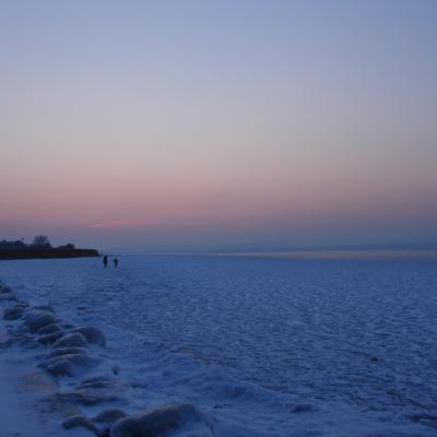 Dsc00619